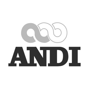 Andi Real Estate Development