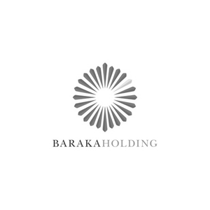 Baraq Holdings Ltd