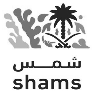 Shams Eldien Eissawy Naja