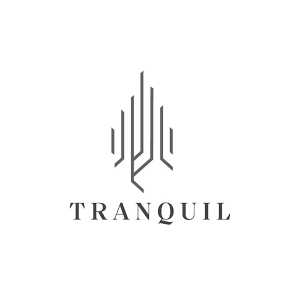 Tranquil Infra Developers